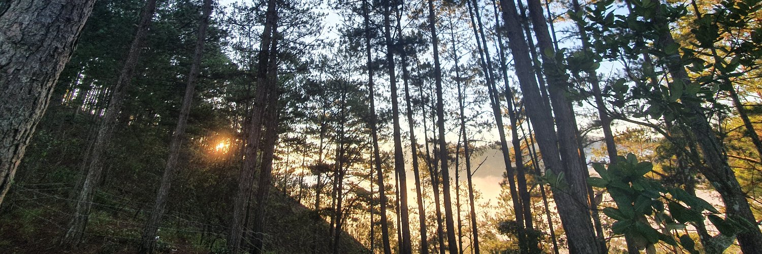 ongchonghaylam's profile banner image