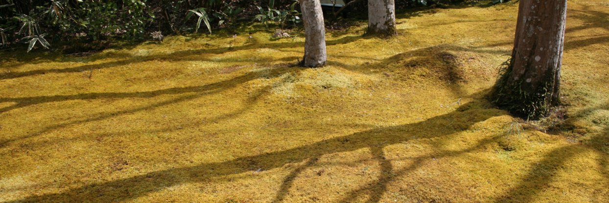 Əmily 🪱🌔 banner