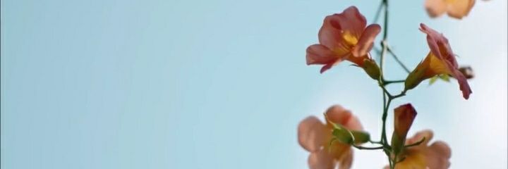_ailhen_'s profile banner image