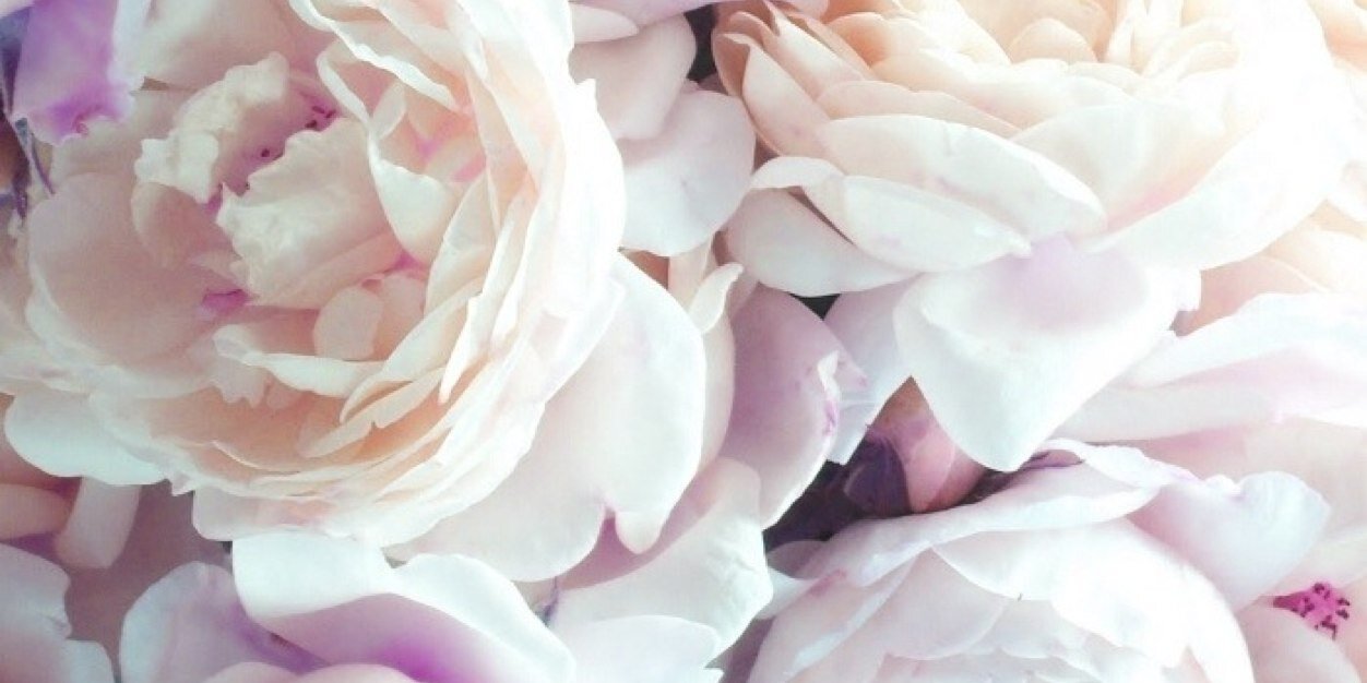 Jacqui Degnan banner