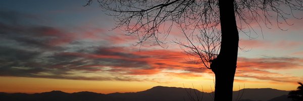 zilic_20 Profile Banner