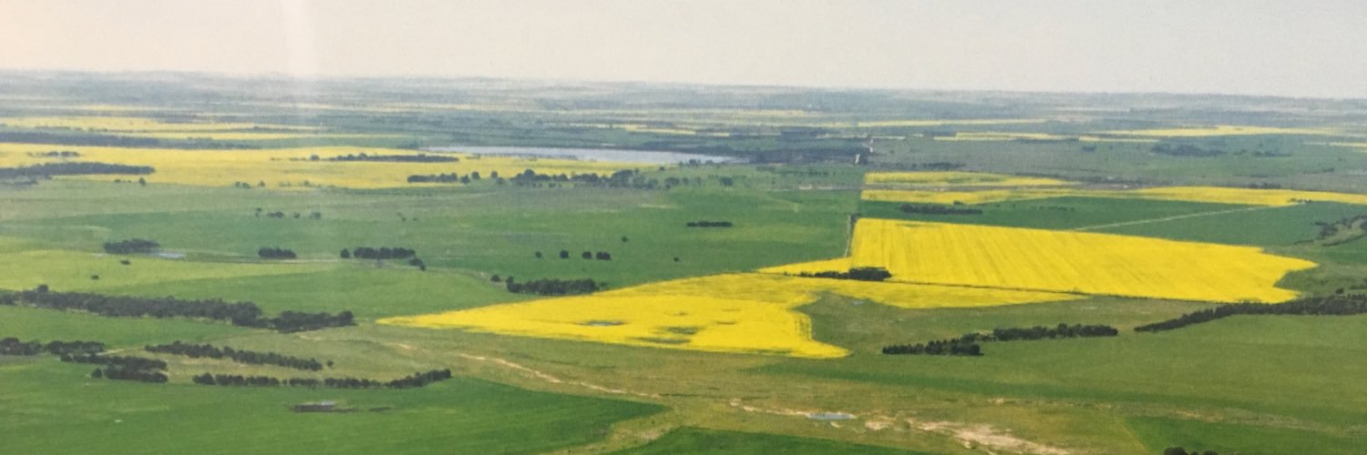 TomNelligan's profile banner image