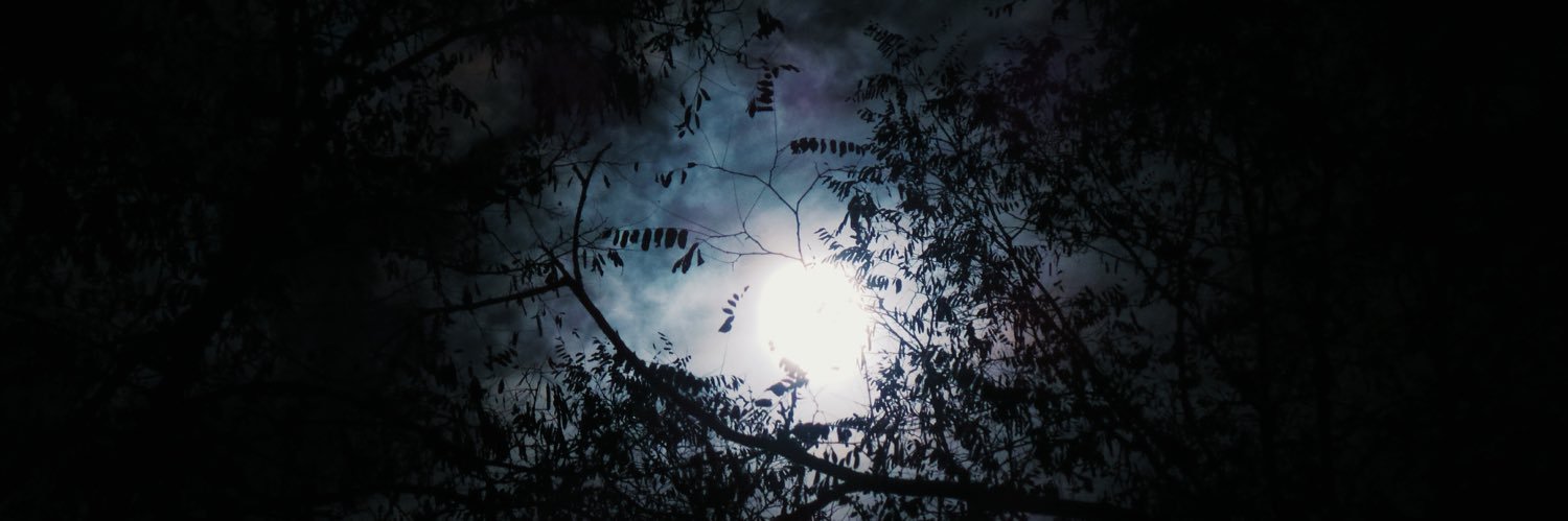 ____ banner