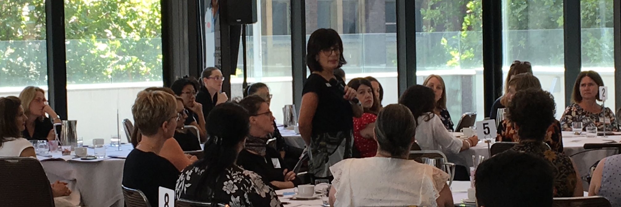 Suzi Finkelstein banner