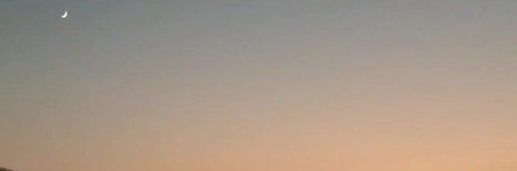 florespriss's profile banner image