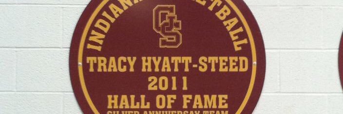 Tracy Steed-Hill banner