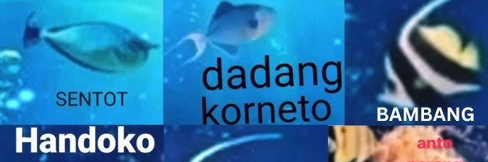 XavierNangis's profile banner image