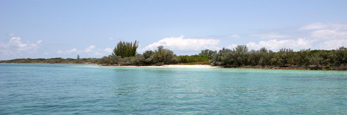Bahamacay's profile banner image
