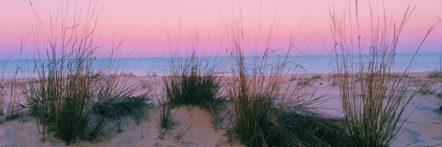 chellllybelllly's profile banner image