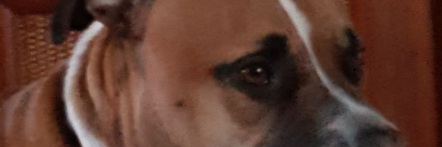 PattyLu56's profile banner image