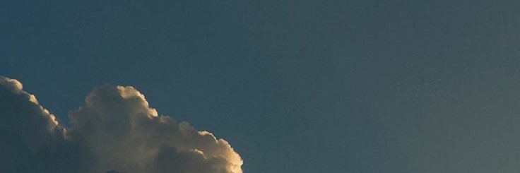 trashsadness's profile banner image