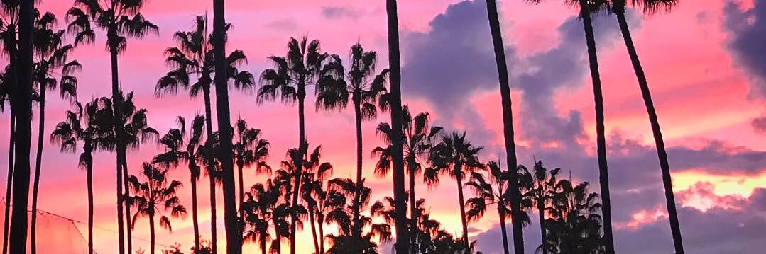 partee875's profile banner image