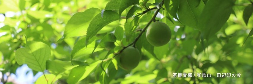 _BIO_Marche's profile banner image