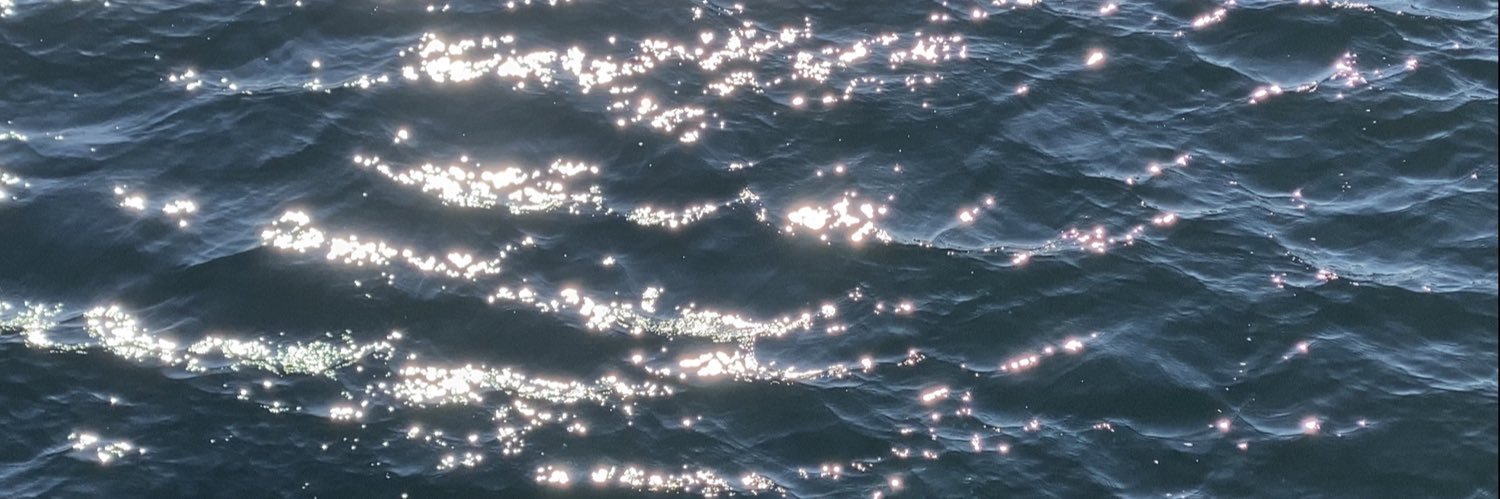 Sarah Krueger banner