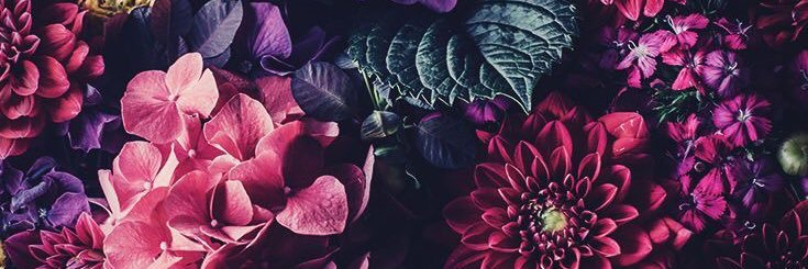 TaylorWiney's profile banner image