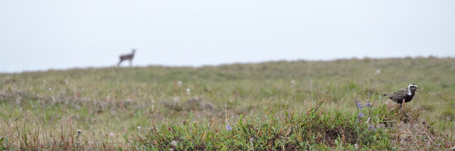 sliphardt's profile banner image