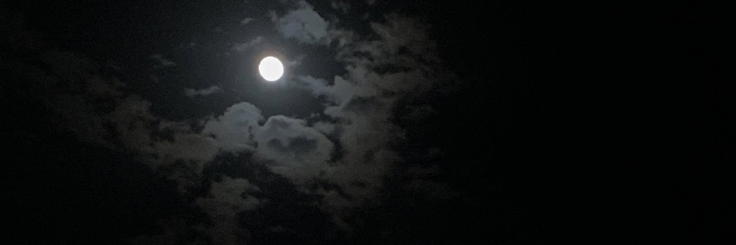 Msmlamh's profile banner image