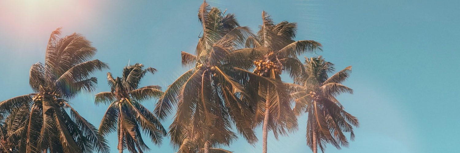 alliegidwill's profile banner image