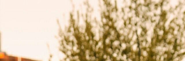 Boy1026's profile banner image