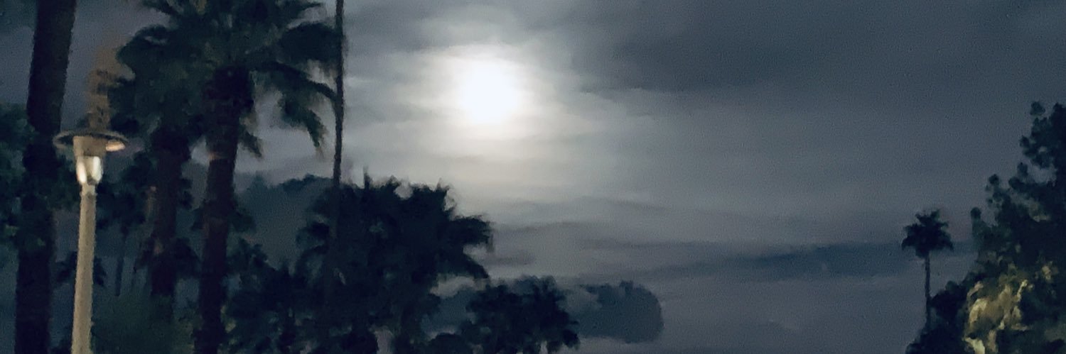 AlonsoHendrick's profile banner image
