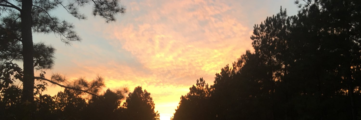 DanSchmidt55's profile banner image