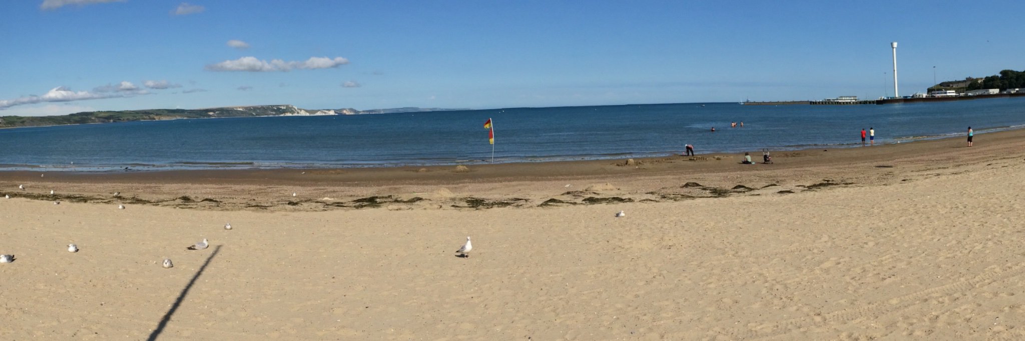 Roberta Reads banner
