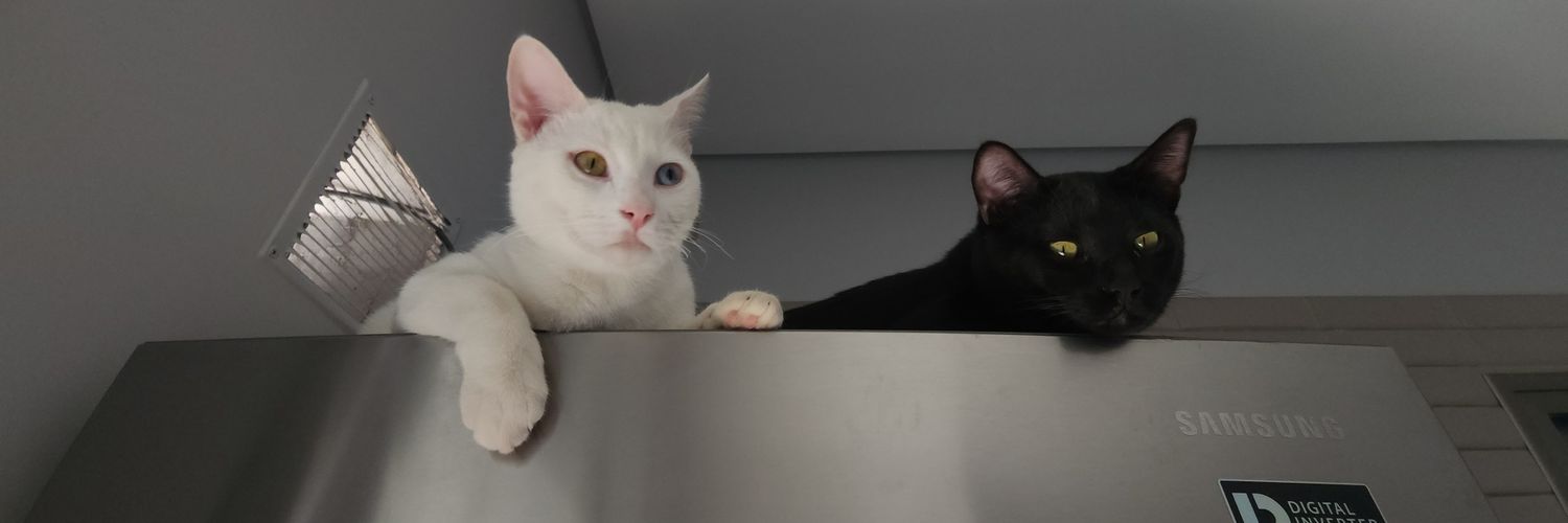 roxy_asdf's profile banner image