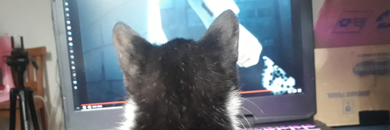 Luli de casa nova, moradia para todes bora ☭ banner