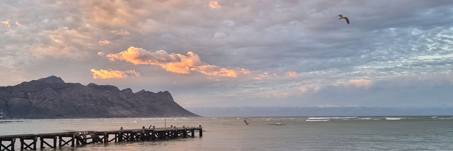 Bart Schoeman banner