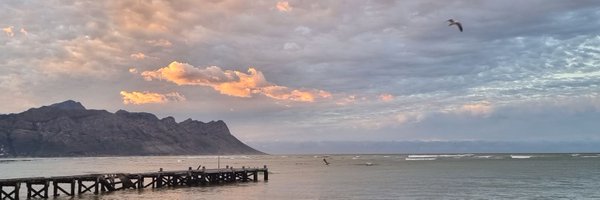 bschoeman3 Profile Banner