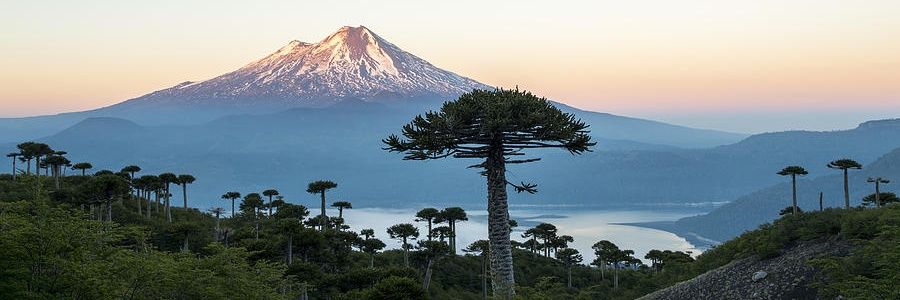 solojhondechile's profile banner image
