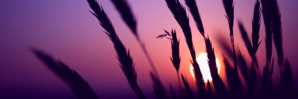 elva_must's profile banner image