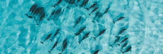 adnilepa's profile banner image