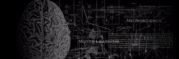 docmaarten Profile Banner