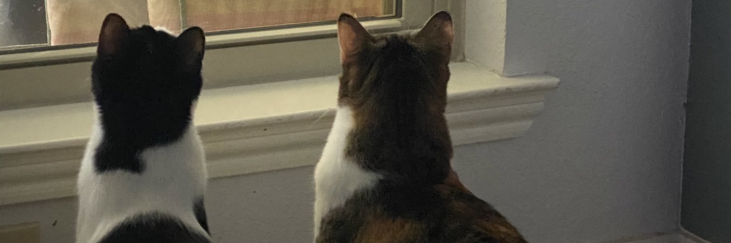 izzywlawson's profile banner image