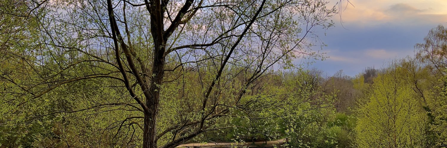 lucy_blaylock's profile banner image