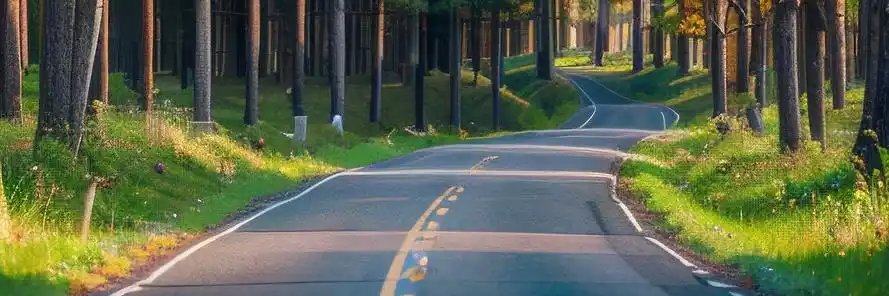 ちさ banner