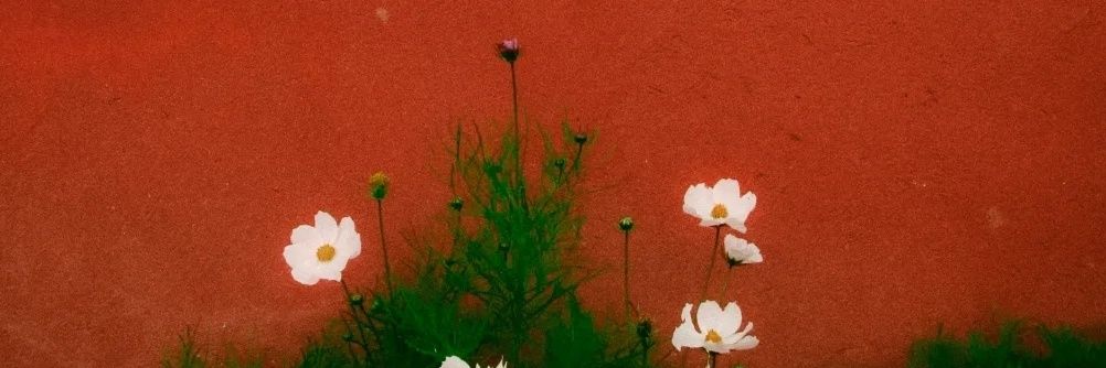 MSocoGA's profile banner image