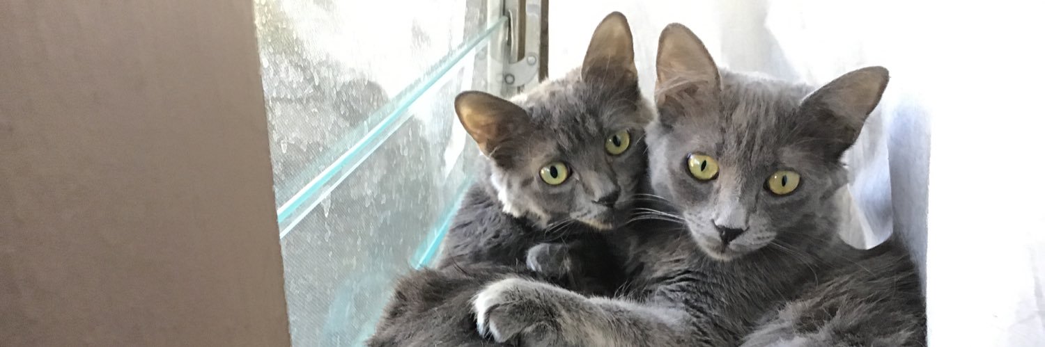 divinemomma_'s profile banner image