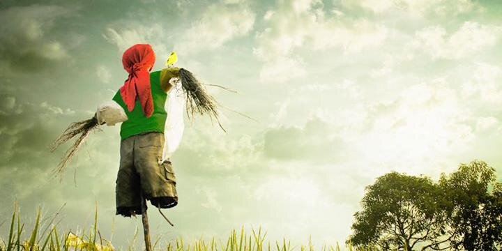 rakshaon's profile banner image