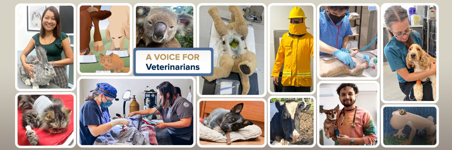 VIN News Service banner