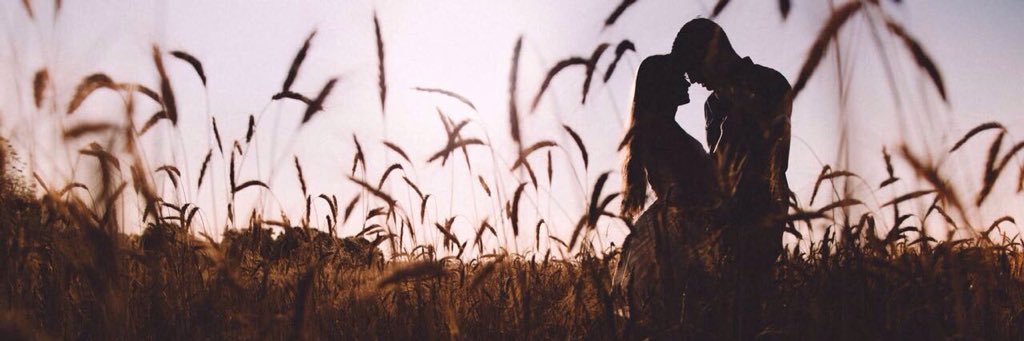 William Tafner banner