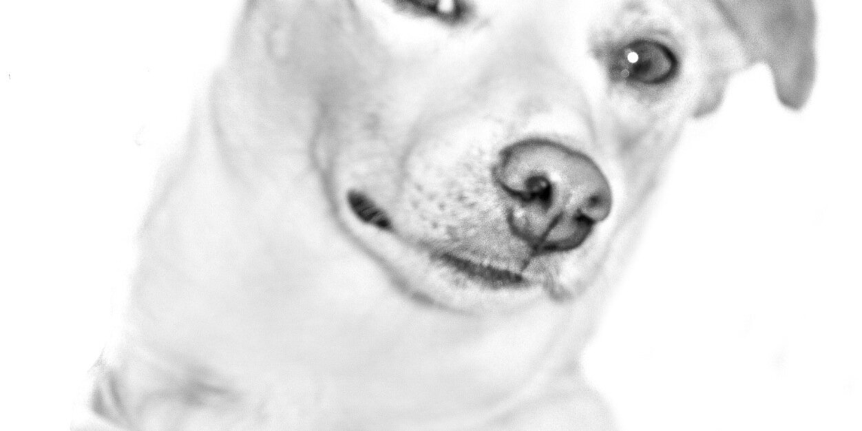 BishopGi's profile banner image