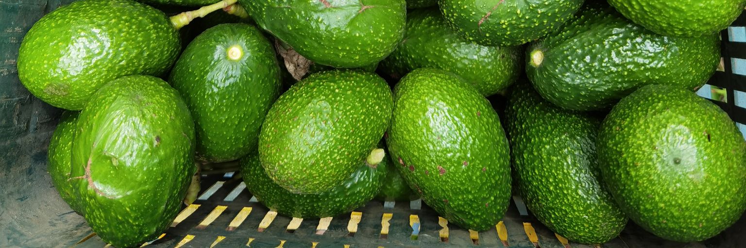 yucas11's profile banner image