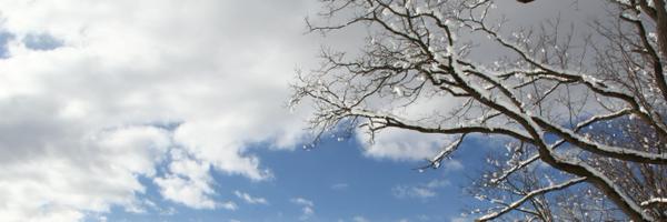 ClickCraft Profile Banner