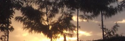 gnsoduor's profile banner image
