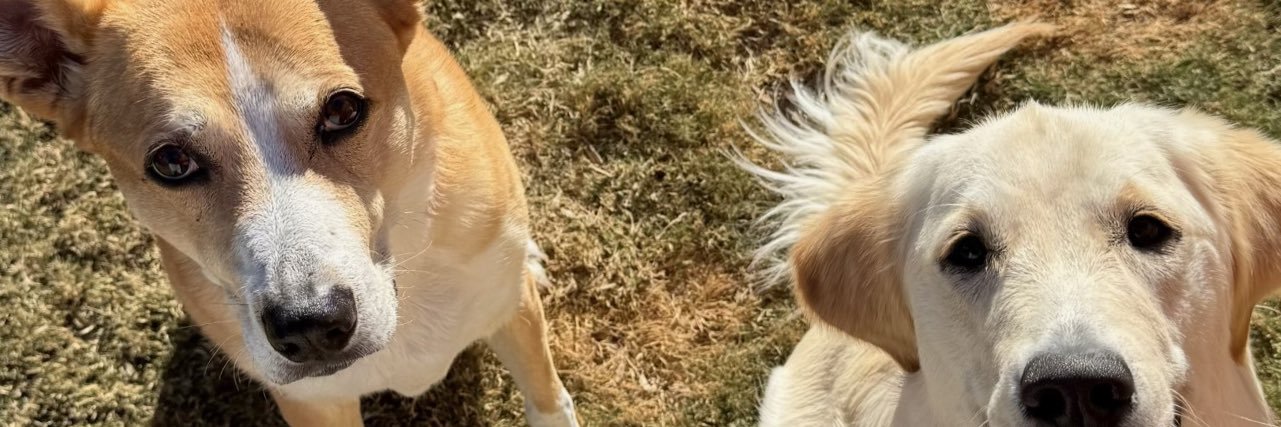 CharrylMoody's profile banner image