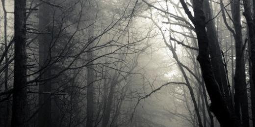 Hailsatan666's profile banner image