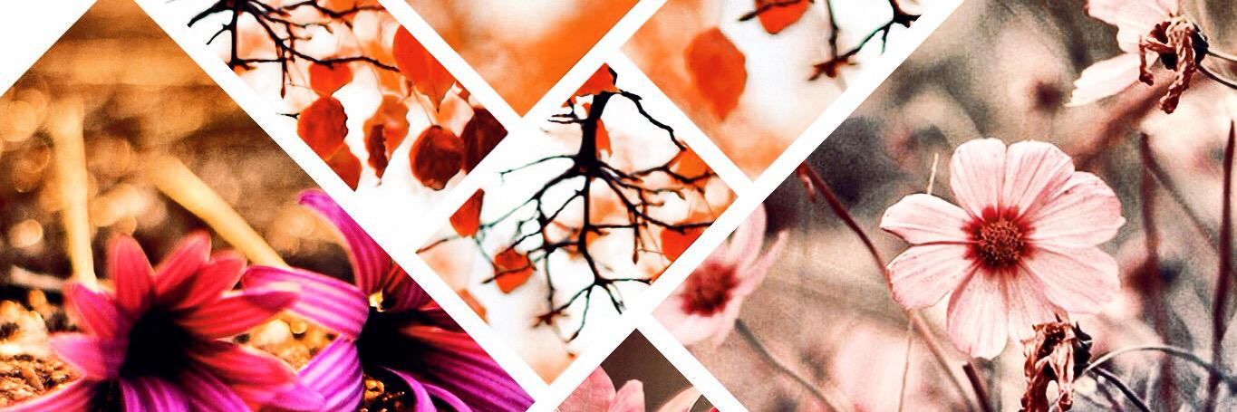 al_a_wi's profile banner image