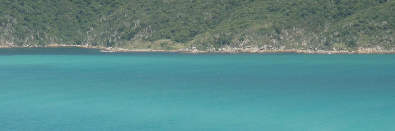 andrecaraje's profile banner image